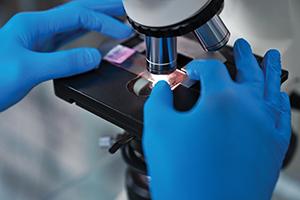 Lab slide
