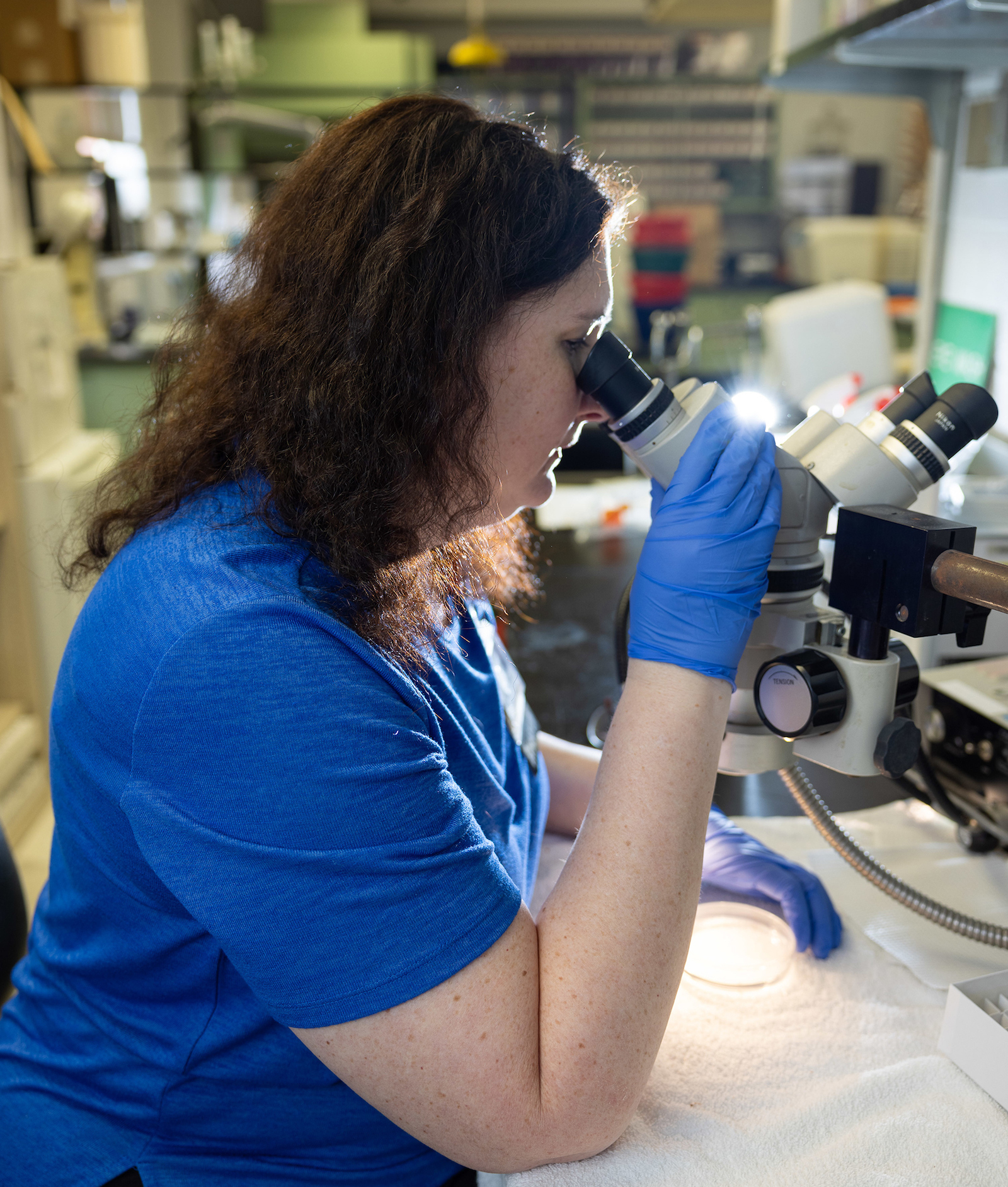 Donna Santillan using microscope