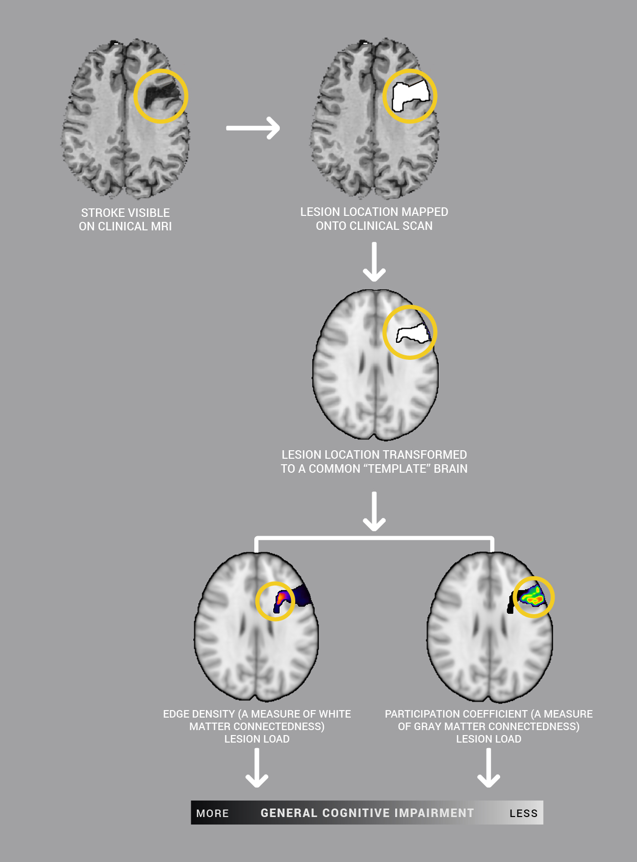 Flow chart of brain damage