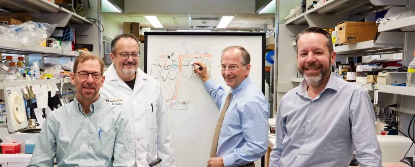 A core group of University of Iowa researchers has been investigating cystic fibrosis for more than 30 years.