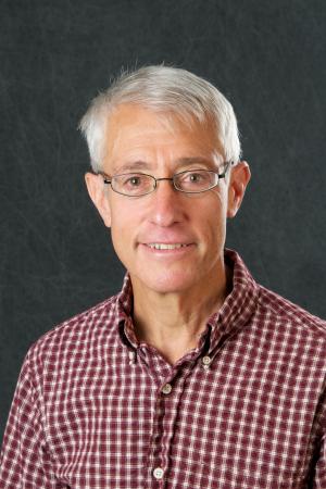 Stanley Perlman, MD, PhD, professor of microbiology and immunology, Mark Stinski Chair in Virology