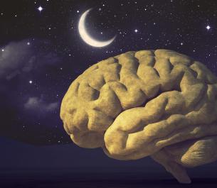 Artistic rendition of a brain and a moon