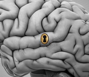 brain image with keyhole