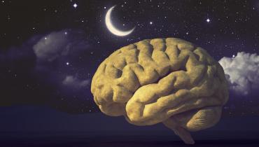 Artistic rendition of a brain and a moon