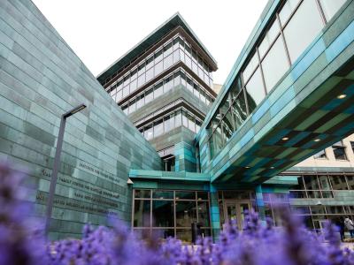 Flowers bloom beneath MERF and the skywalk on the Carver College of Medicine campus on Saturday, April 20, 2024.