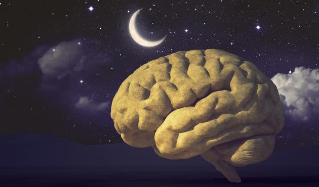 Artistic rendition of a brain and a moon