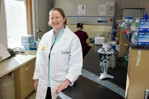 Cyndari Lab photo
