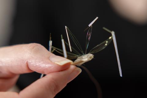 Rainbo Hultman holds a multi-site recording electrode used in lab mice to measure neural signals related to migraine and migraine resistance.