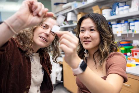 Hanna Stevens with Michelle Chen, a student in the Carver College of Medicine’s Medical Scientist Training Program.