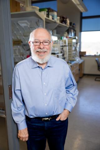 Kevin Campbell standing in Lab